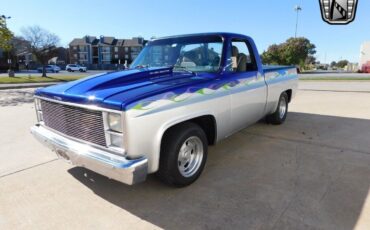 Chevrolet-Other-Pickups-Pickup-1984-Gray-Gray-74015-2