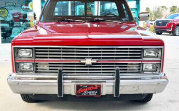 Chevrolet-Other-Pickups-Pickup-1984-Red-Red-118845-1