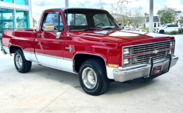 Chevrolet-Other-Pickups-Pickup-1984-Red-Red-118845-2