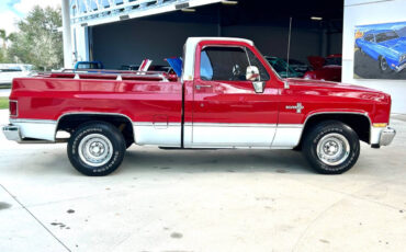 Chevrolet-Other-Pickups-Pickup-1984-Red-Red-118845-3