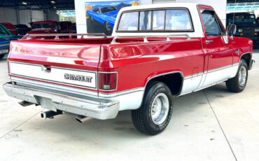 Chevrolet-Other-Pickups-Pickup-1984-Red-Red-118845-4