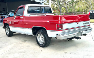 Chevrolet-Other-Pickups-Pickup-1984-Red-Red-118845-6