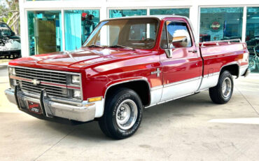 Chevrolet-Other-Pickups-Pickup-1984-Red-Red-118845-8