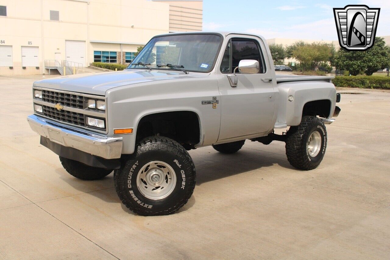 Chevrolet-Other-Pickups-Pickup-1985-Gray-Black-123942-2