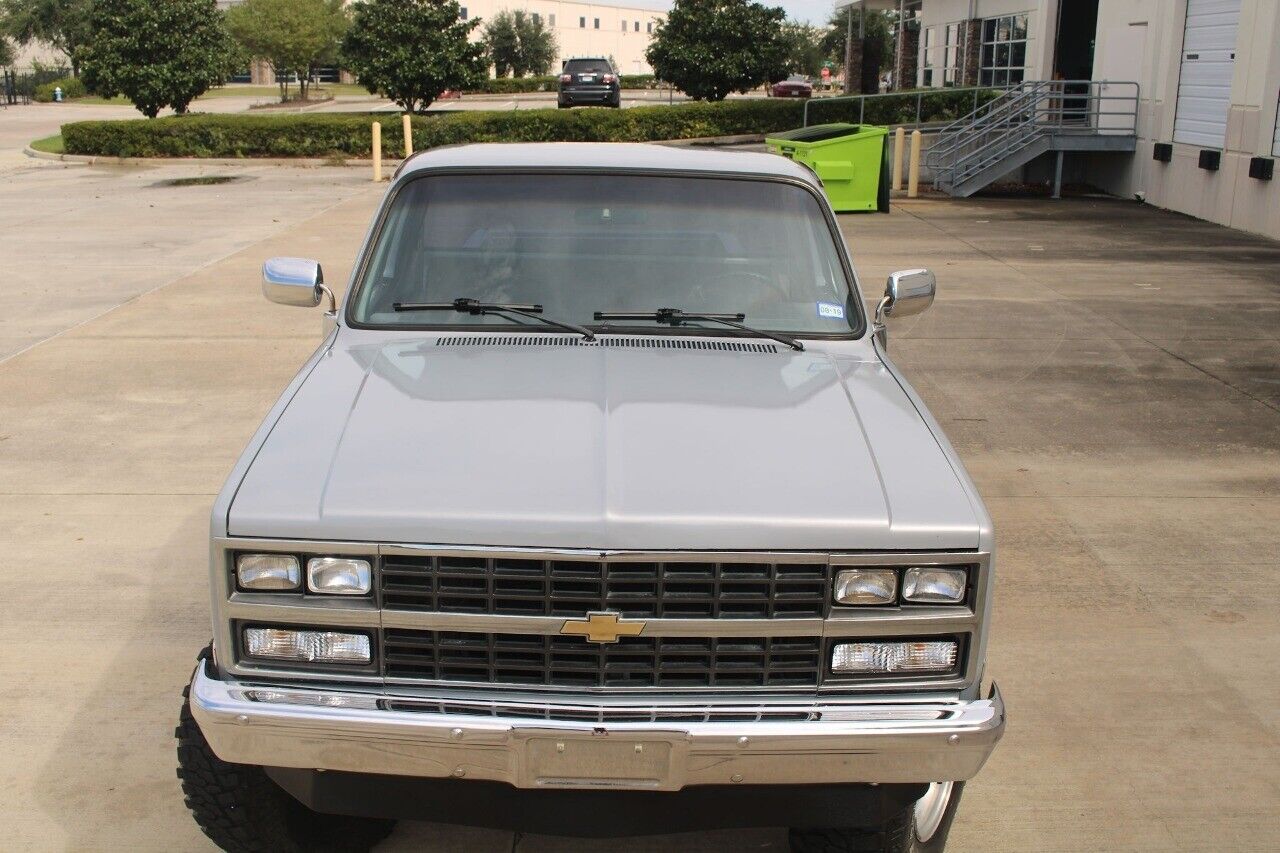 Chevrolet-Other-Pickups-Pickup-1985-Gray-Black-123942-6