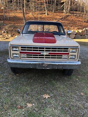 Chevrolet-Other-Pickups-Pickup-1986-Burgundy-Tan-156106-2