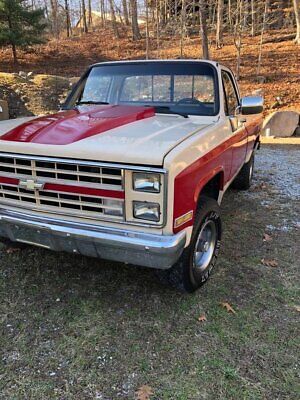 Chevrolet-Other-Pickups-Pickup-1986-Burgundy-Tan-156106-3