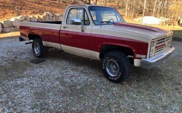 Chevrolet Other Pickups Pickup 1986