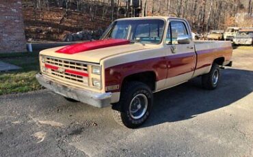 Chevrolet-Other-Pickups-Pickup-1986-Burgundy-Tan-156106-4