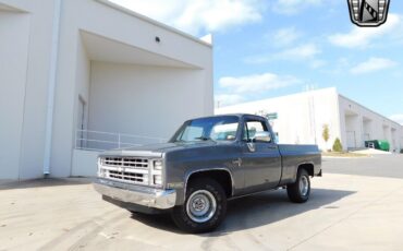 Chevrolet-Other-Pickups-Pickup-1986-Gray-Gray-82466-2