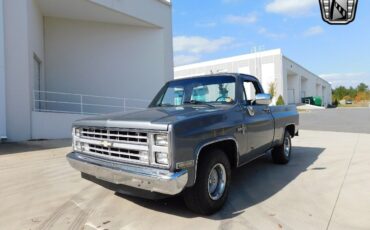 Chevrolet-Other-Pickups-Pickup-1986-Gray-Gray-82466-4