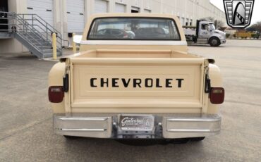 Chevrolet-Other-Pickups-Pickup-1987-Beige-Tan-146869-3