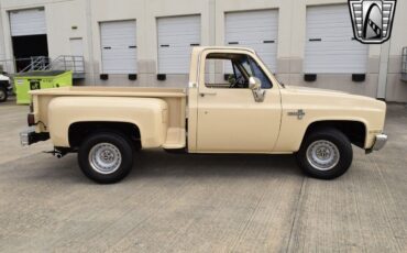 Chevrolet-Other-Pickups-Pickup-1987-Beige-Tan-146869-4