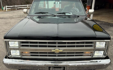 Chevrolet-Other-Pickups-Pickup-1987-Black-Black-147020-5