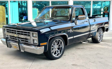 Chevrolet Other Pickups Pickup 1987