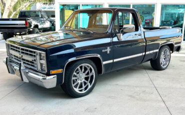 Chevrolet-Other-Pickups-Pickup-1987-Blue-Gray-23484-8