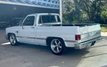 Chevrolet-Other-Pickups-Pickup-1987-White-Red-123149-6