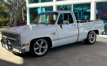 Chevrolet-Other-Pickups-Pickup-1987-White-Red-123149-8