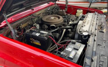 Chevrolet-Pickup-diesel-1985-red-205996-7