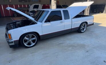 Chevrolet-S-10-1989-White-Red-3307-1