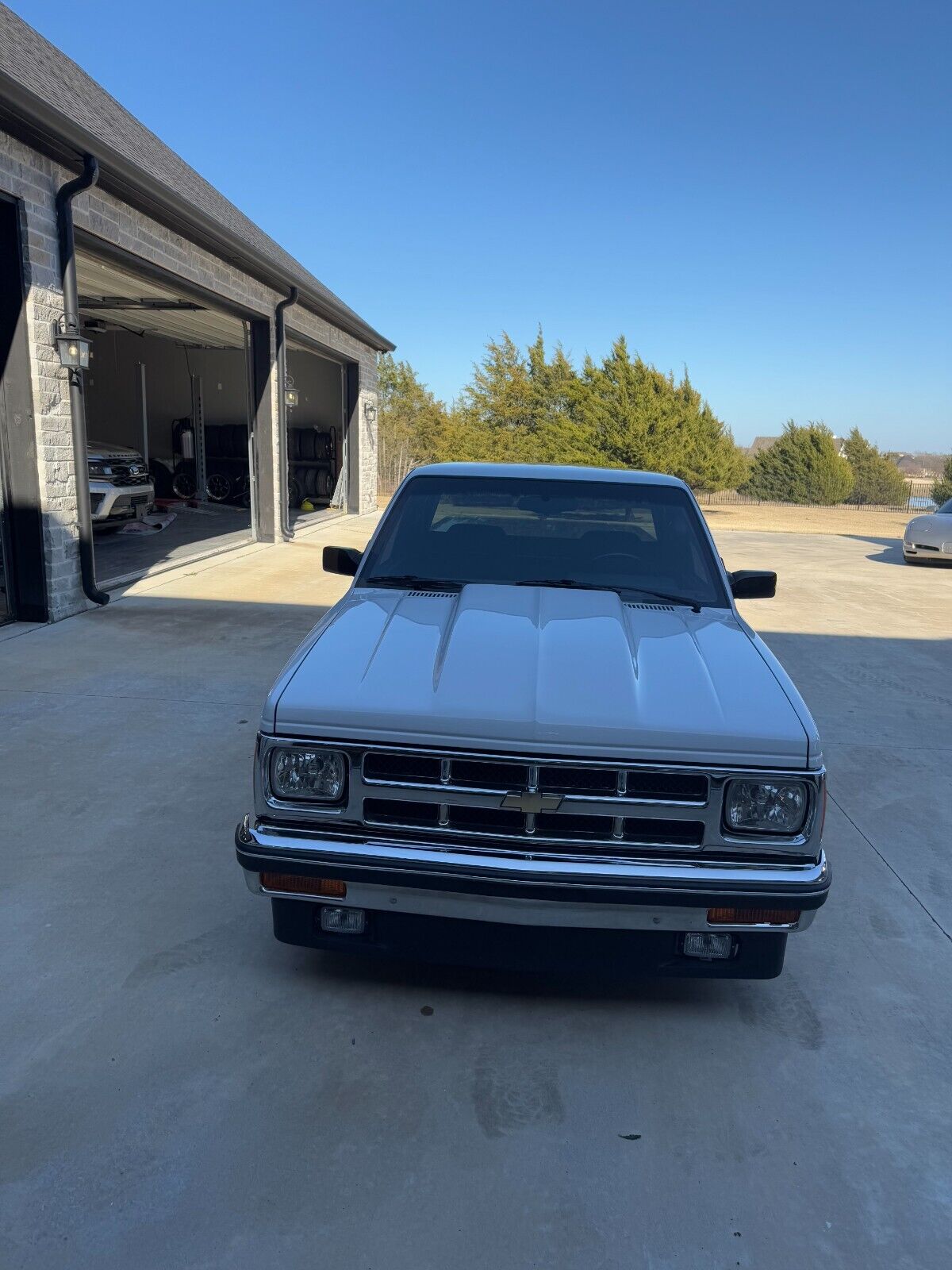 Chevrolet-S-10-1989-White-Red-3307-8