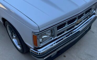 Chevrolet-S-10-1989-White-Red-3307-9