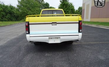 Chevrolet-S-10-Pickup-1982-Yellow-Black-28360-5