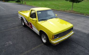 Chevrolet-S-10-Pickup-1982-Yellow-Black-28360-8