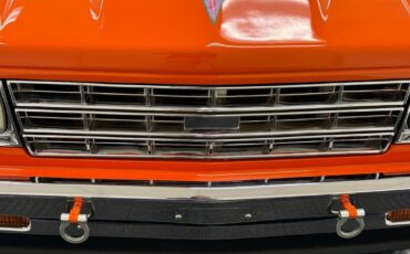 Chevrolet-S-10-Pickup-1989-Orange-Black-1331-8