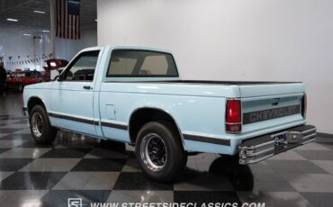 Chevrolet-S-10-Pickup-1991-Blue-Blue-204369-9