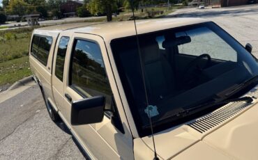 Chevrolet-S-10-Pickup-1991-Brown-Tan-96599-10