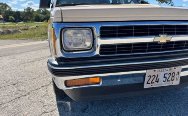 Chevrolet-S-10-Pickup-1991-Brown-Tan-96599-11