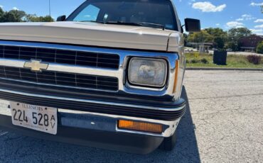 Chevrolet-S-10-Pickup-1991-Brown-Tan-96599-12