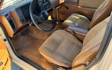 Chevrolet-S-10-Pickup-1991-Brown-Tan-96599-13