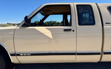 Chevrolet-S-10-Pickup-1991-Brown-Tan-96599-15