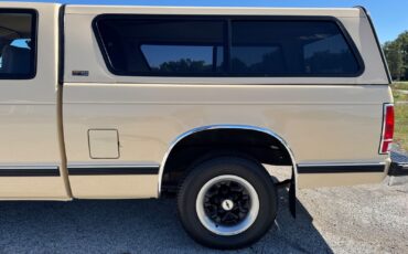 Chevrolet-S-10-Pickup-1991-Brown-Tan-96599-16