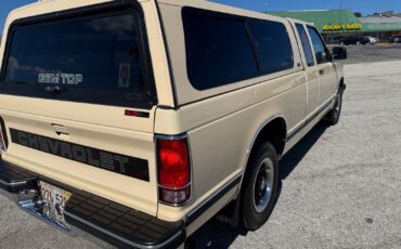 Chevrolet-S-10-Pickup-1991-Brown-Tan-96599-22