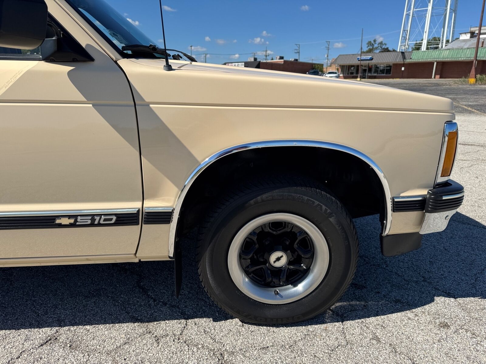 Chevrolet-S-10-Pickup-1991-Brown-Tan-96599-25