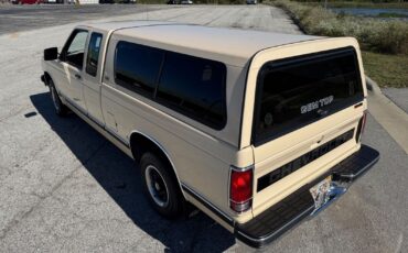 Chevrolet-S-10-Pickup-1991-Brown-Tan-96599-3