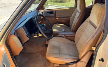 Chevrolet-S-10-Pickup-1991-Brown-Tan-96599-34