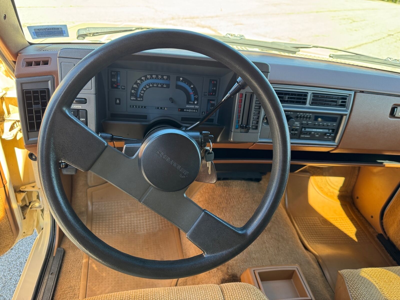 Chevrolet-S-10-Pickup-1991-Brown-Tan-96599-35