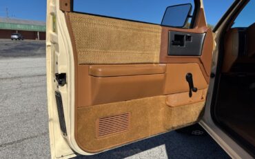 Chevrolet-S-10-Pickup-1991-Brown-Tan-96599-38