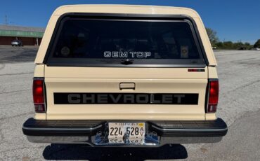 Chevrolet-S-10-Pickup-1991-Brown-Tan-96599-4