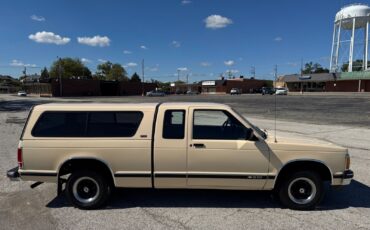 Chevrolet-S-10-Pickup-1991-Brown-Tan-96599-6