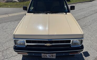 Chevrolet-S-10-Pickup-1991-Brown-Tan-96599-7