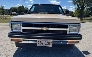 Chevrolet-S-10-Pickup-1991-Brown-Tan-96599-8