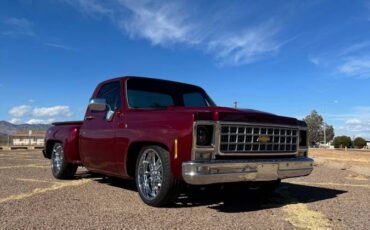 Chevrolet-Silverado-1500-1980-red-32187-1