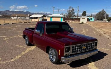 Chevrolet-Silverado-1500-1980-red-32187-2