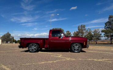 Chevrolet-Silverado-1500-1980-red-32187-3