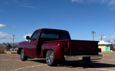 Chevrolet-Silverado-1500-1980-red-32187-5